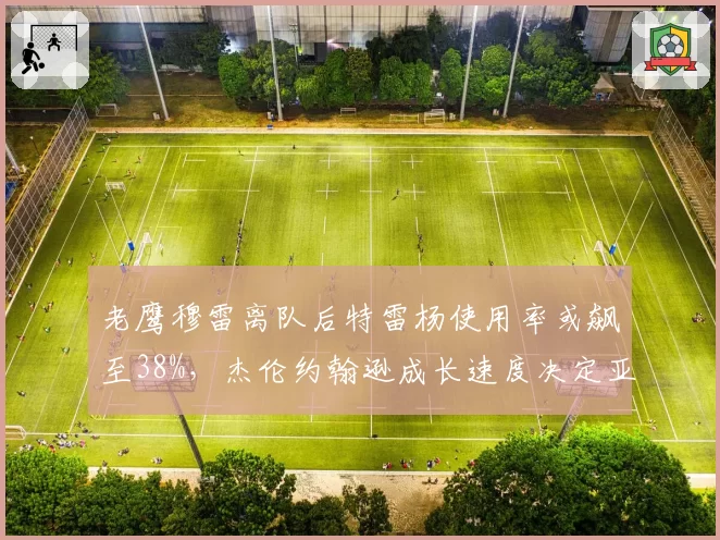 老鹰穆雷离队后特雷杨使用率或飙至38%，杰伦约翰逊成长速度决定亚特兰大上限