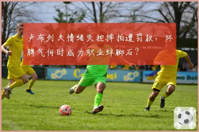 卢布列夫情绪失控摔拍遭罚款,坏脾气何时成为职业绊脚石?